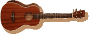 ukulele_baryton