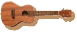ukulele_concert