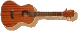 ukulele_tenor