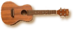 ukulele_concert
