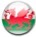 drapeau_galle-3