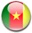 drapeau_cameroun